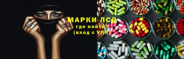 гидропоника Рославль