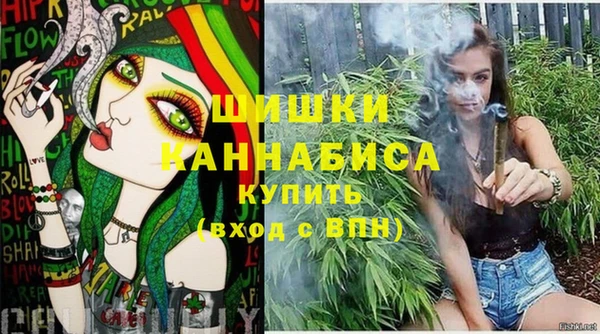 бошки Богданович