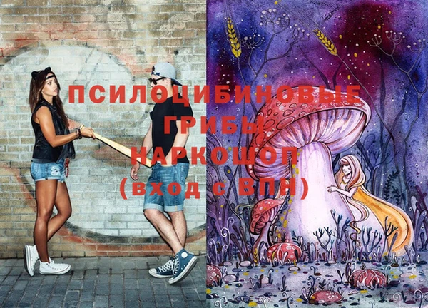 скорость Богородск